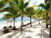 The Residence Mauritius - tropical palms on the beach